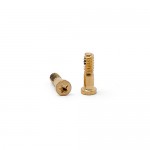 iPhone 5S Complete Screw Set (Gold)